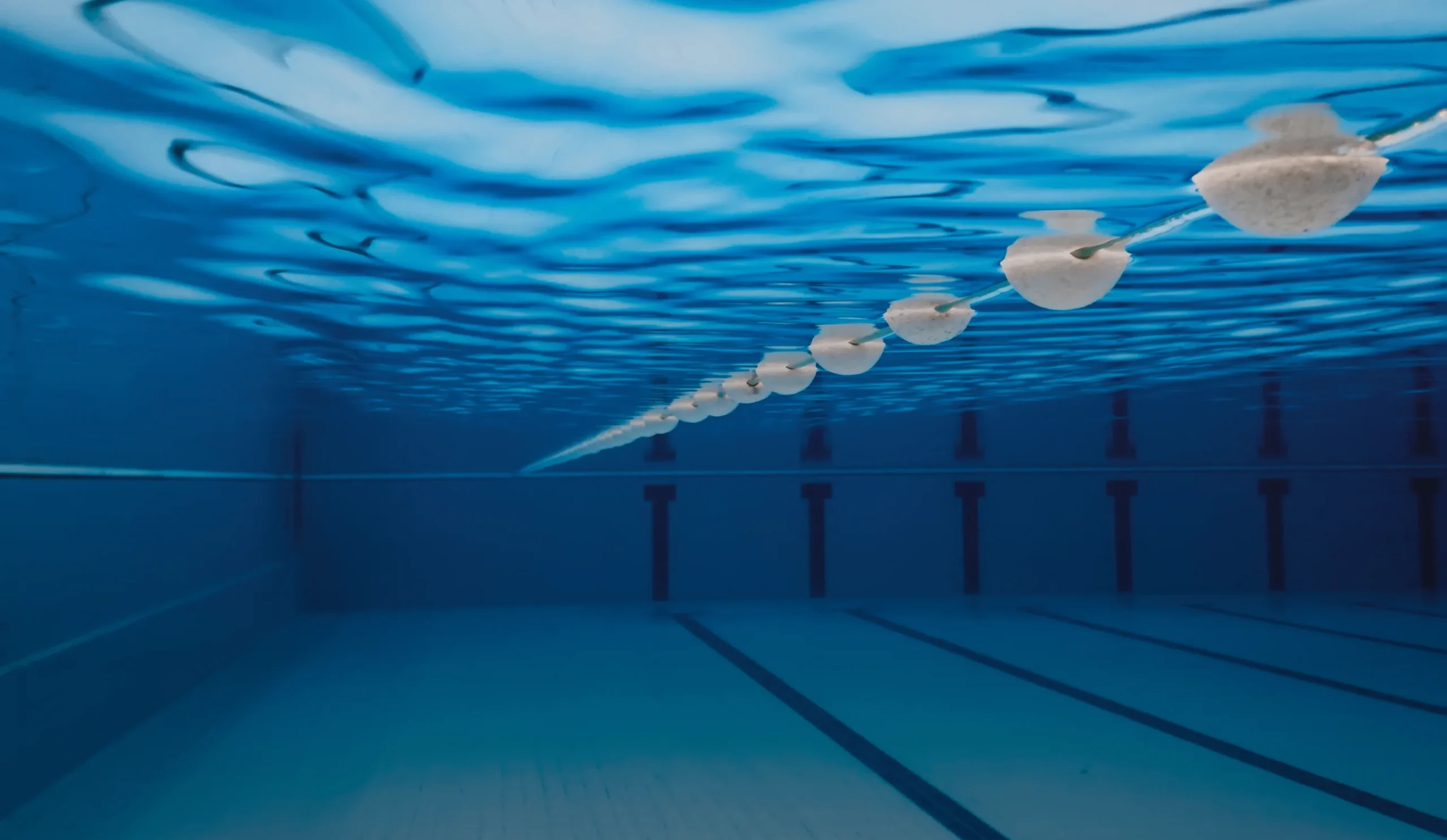 Lap pool and splash pool
