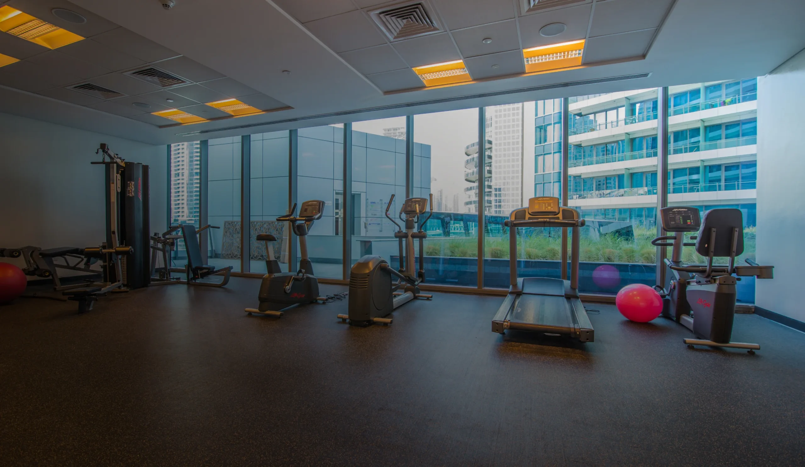 State-of-the-art gymnasium